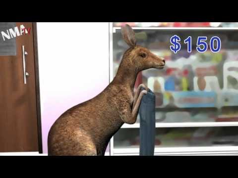 澳洲零售商 逼政府開徵網路購物稅 (Australian retailers call for Internet GST)