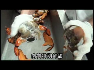 NMA 2009.12.30 動新聞 高檔海鮮 生猛活跳跳