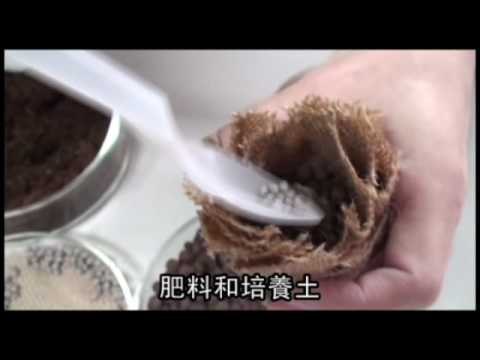 NMA 2009.12.25 動新聞 桌上小溫室 和植物親密互動