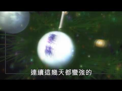 NMA 2009.12.25 動新聞 月底前 可望上攻8千點