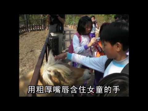 NMA 2009.12.09 動新聞 迷你馬 吻 傷5歲女童小手