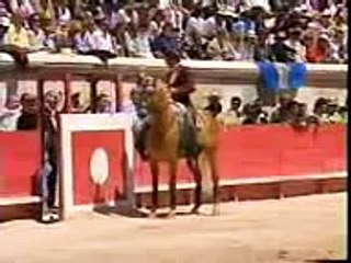 the spanish  horse skills (cavalo) vs bull