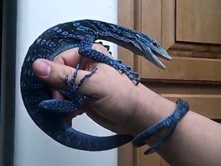 Big Blue Tree Monitor
