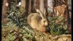 A Hare in the Forest, Hans Hoffmann