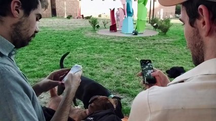 Can We Auto-Correct Humanity?