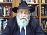 Jews and Non-Jews can get into Heaven - Rabbi Sholom Lipskar