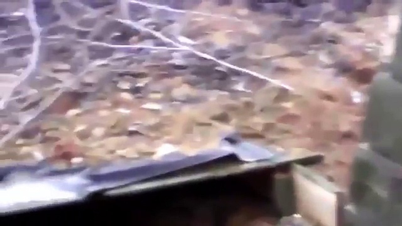 УКРАИНА НОВОСТИ СЕГОДНЯ 01 05 2015 Последние Новости Сегодня  2015