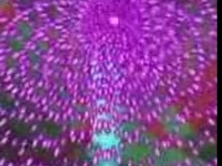 MUSHIHIMESAMA FUTARI Ver.1.5 au stage 5,