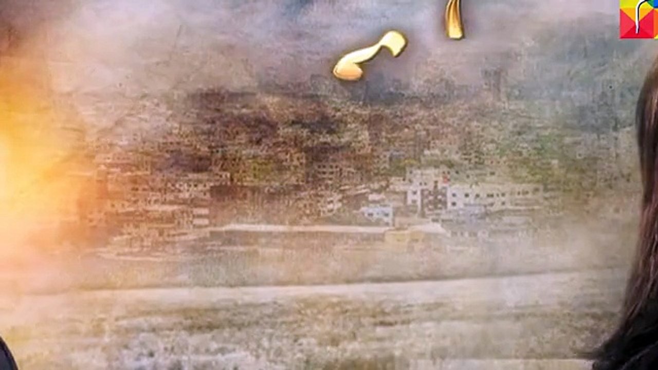 Aye Zindagi Episode 9 Promo HUM TV Drama Apr 30, 2015