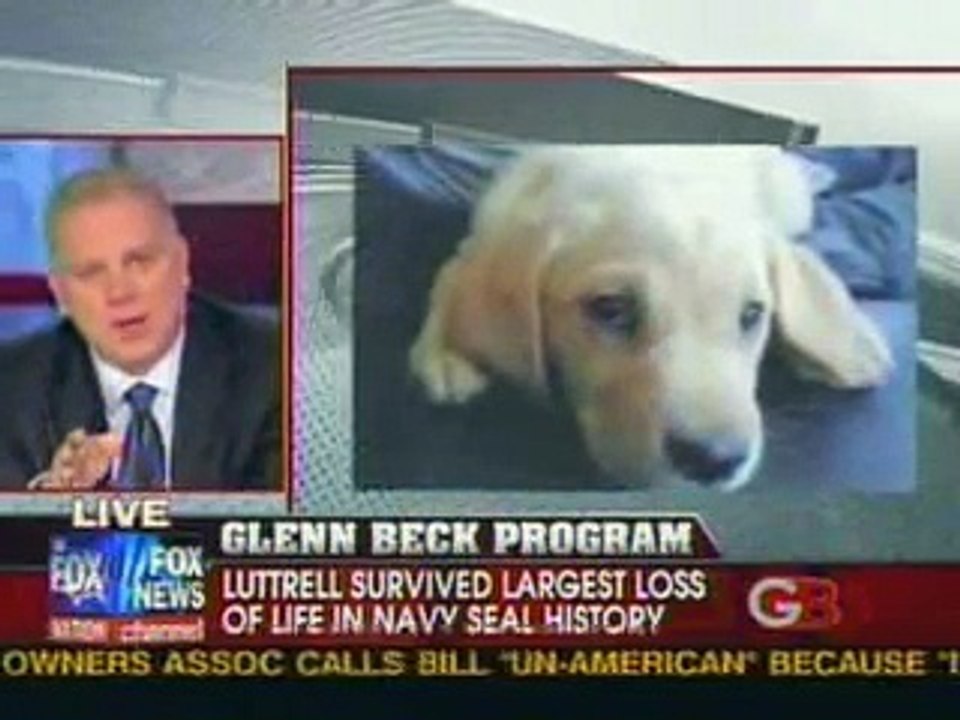 Teen punks murder Marcus Luttrell American hero's dog "Dasy"