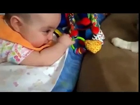 Funny Videos Fail Compilation, Funny Pranks and Funny Cats Videos New Funny Videohttp?syndication=228326