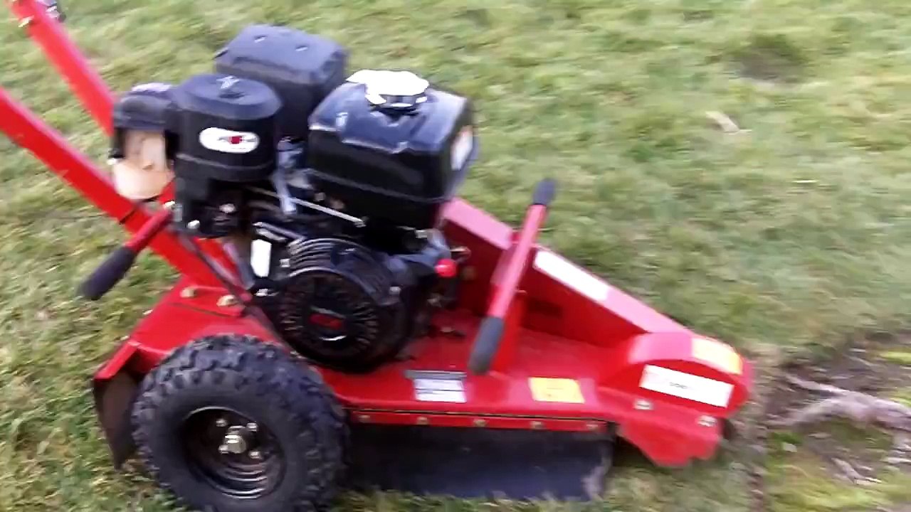 Home Depot stump grinder video Dailymotion