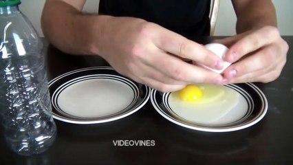 Amazing trick with Eggs for Home use
