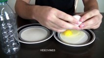 Amazing trick with Eggs for Home use