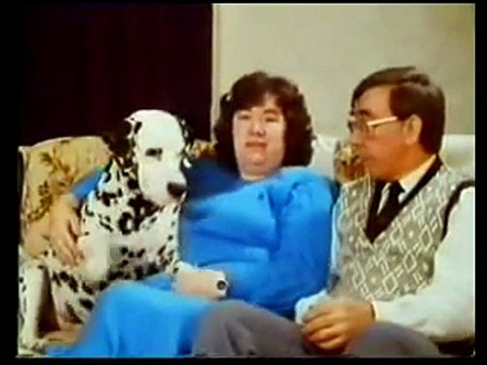 Domino - The Talking Dog