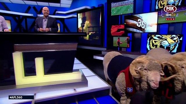 AFL 360 2015 - E019 Apr 30th 576p x264-VB