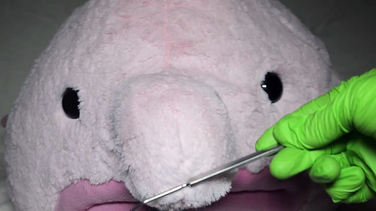 Blobfish World's Ugliest Animal Plush Soft Toy - Runforthecube Toy Review - video Dailymotion