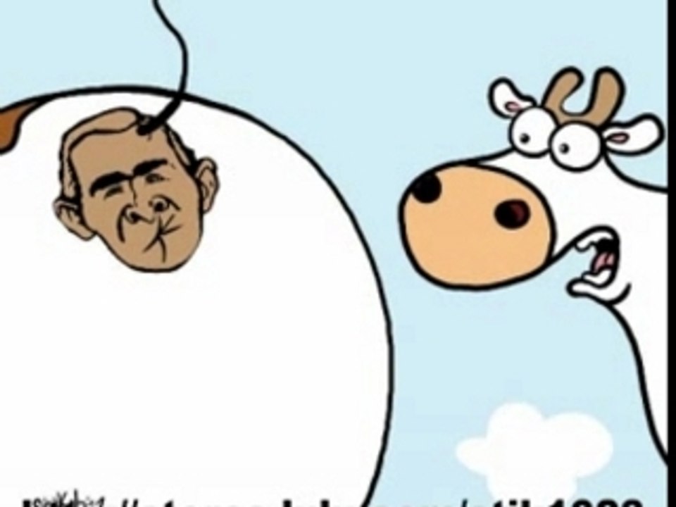 365 Cow Jokes Later...