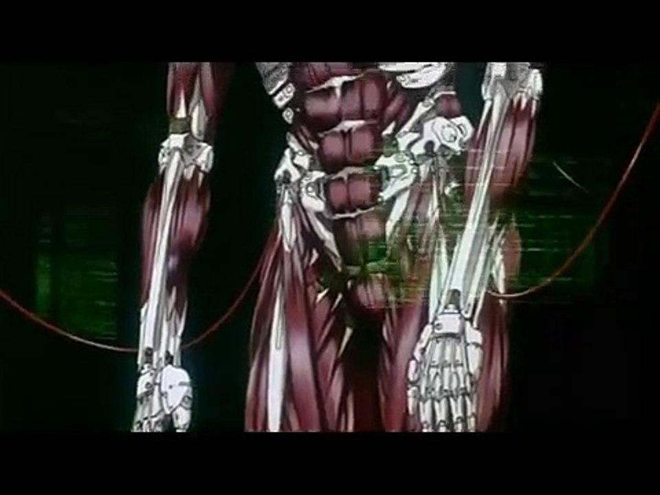 Ghost In The Shell - Reincarnation