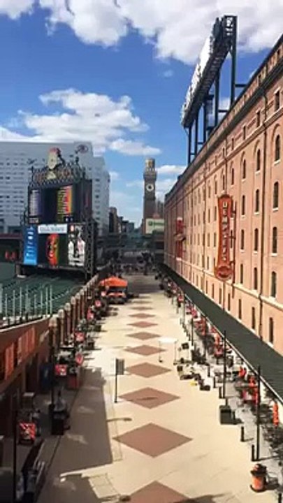 The Orioles-White Sox Empty Stadium Game