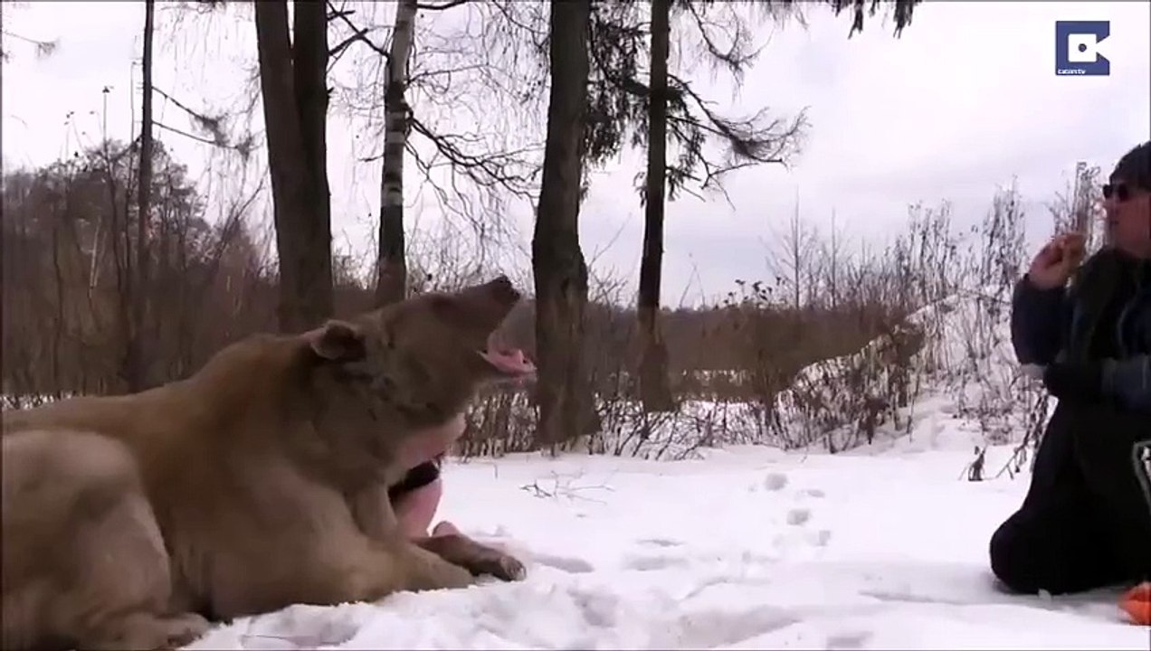 Un ours pose avec des top models en Russie