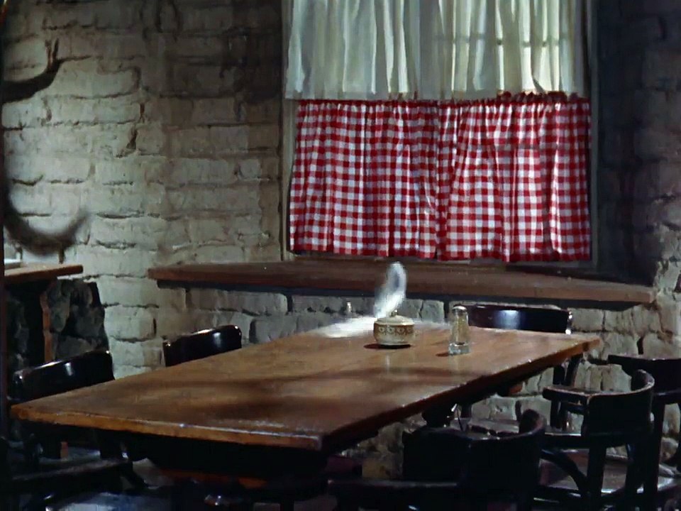 Johnny Guitar 02
