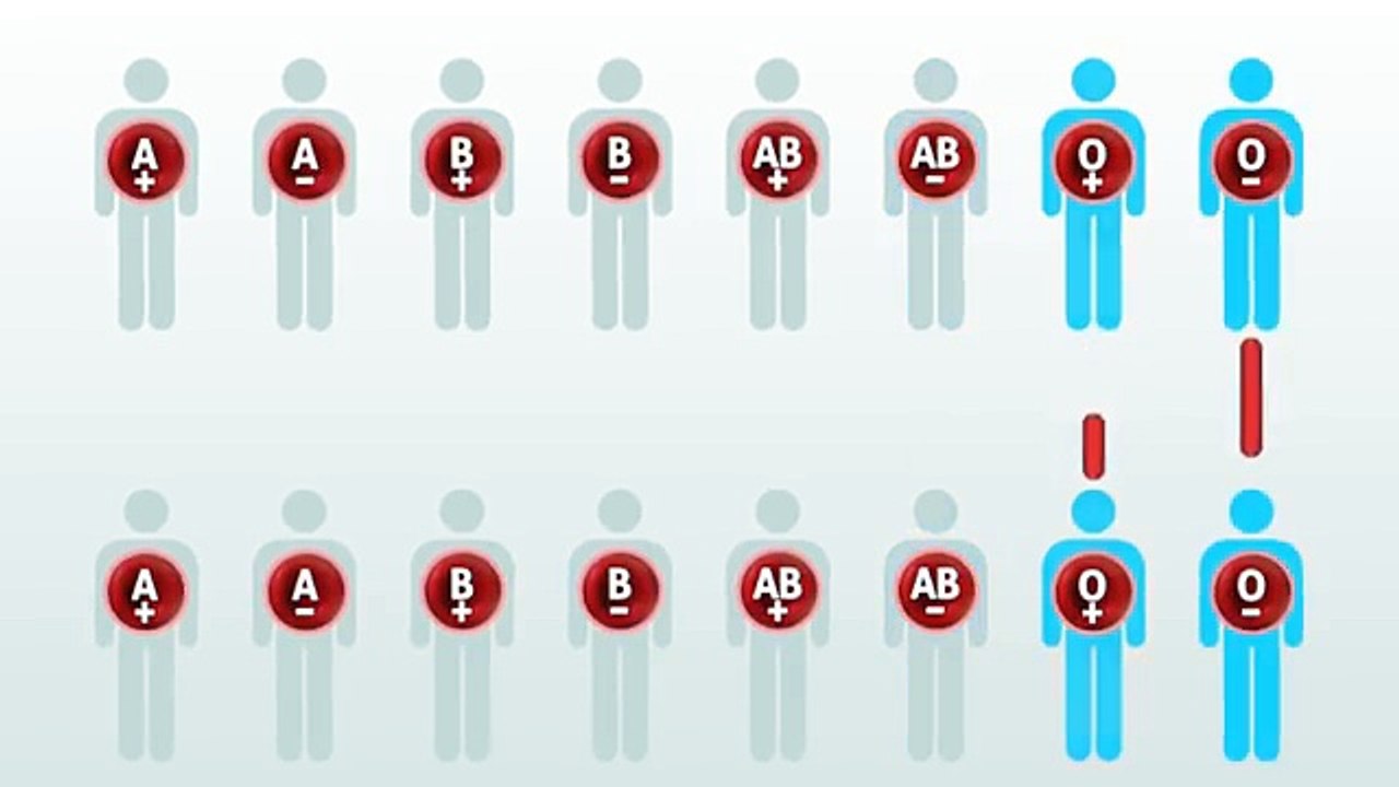 Tout savoir sur la compatibilité des groupes sanguins