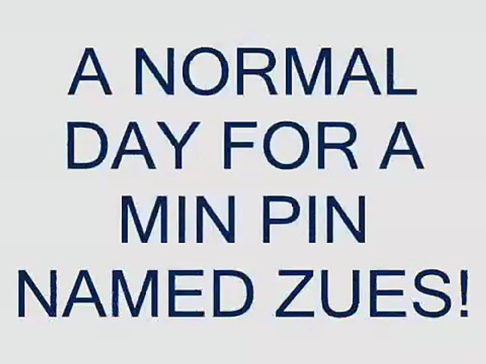 zues