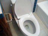 TOTO toilet first look