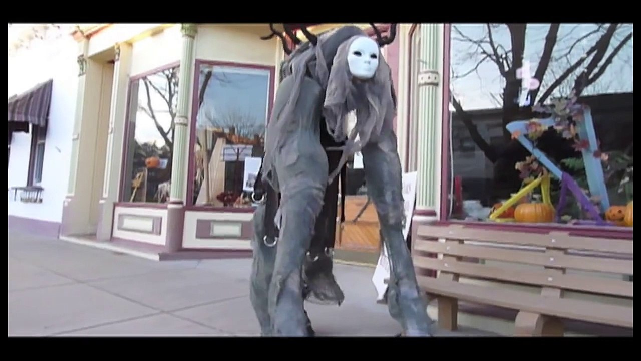 4 Legged Stilt Costumes - Handmade