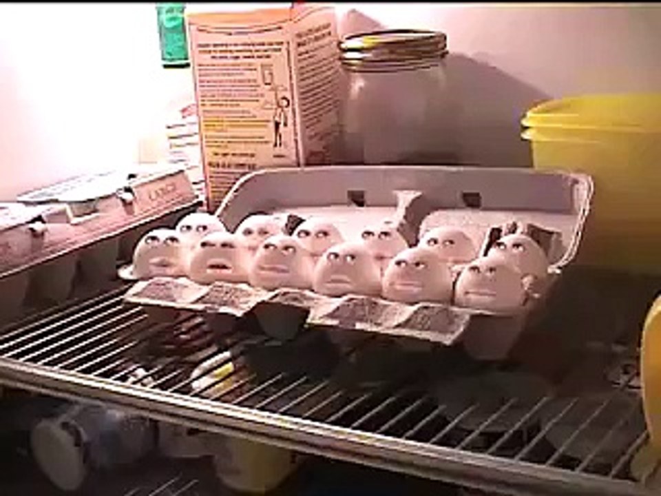 Hilarious Screaming Eggs!