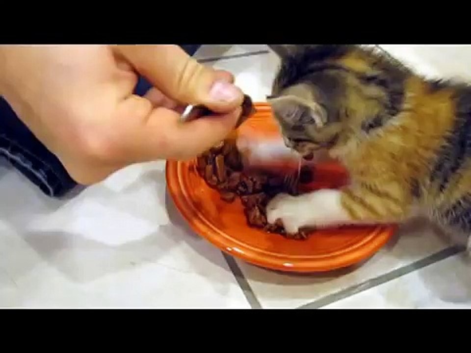 Don't touch
