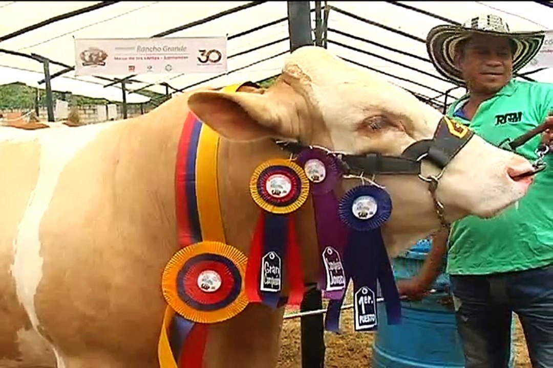 29 de abril de 2015 AsoSimmental Bucaramanga.
