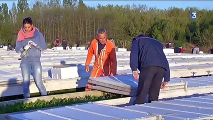 Le 1er mai, n'oubliez pas les brins de muguet ! - France 3 Lorraine
