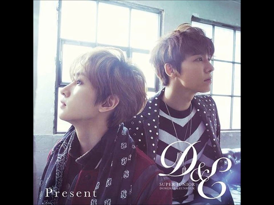 SUPER JUNIOR-D&E PRESENT