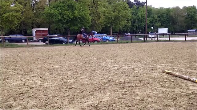 Séance de saut du 30.04.15 - Olympic et Gwen
