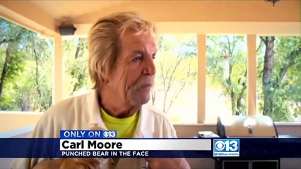 Il frappe un ours pour sauver son chien