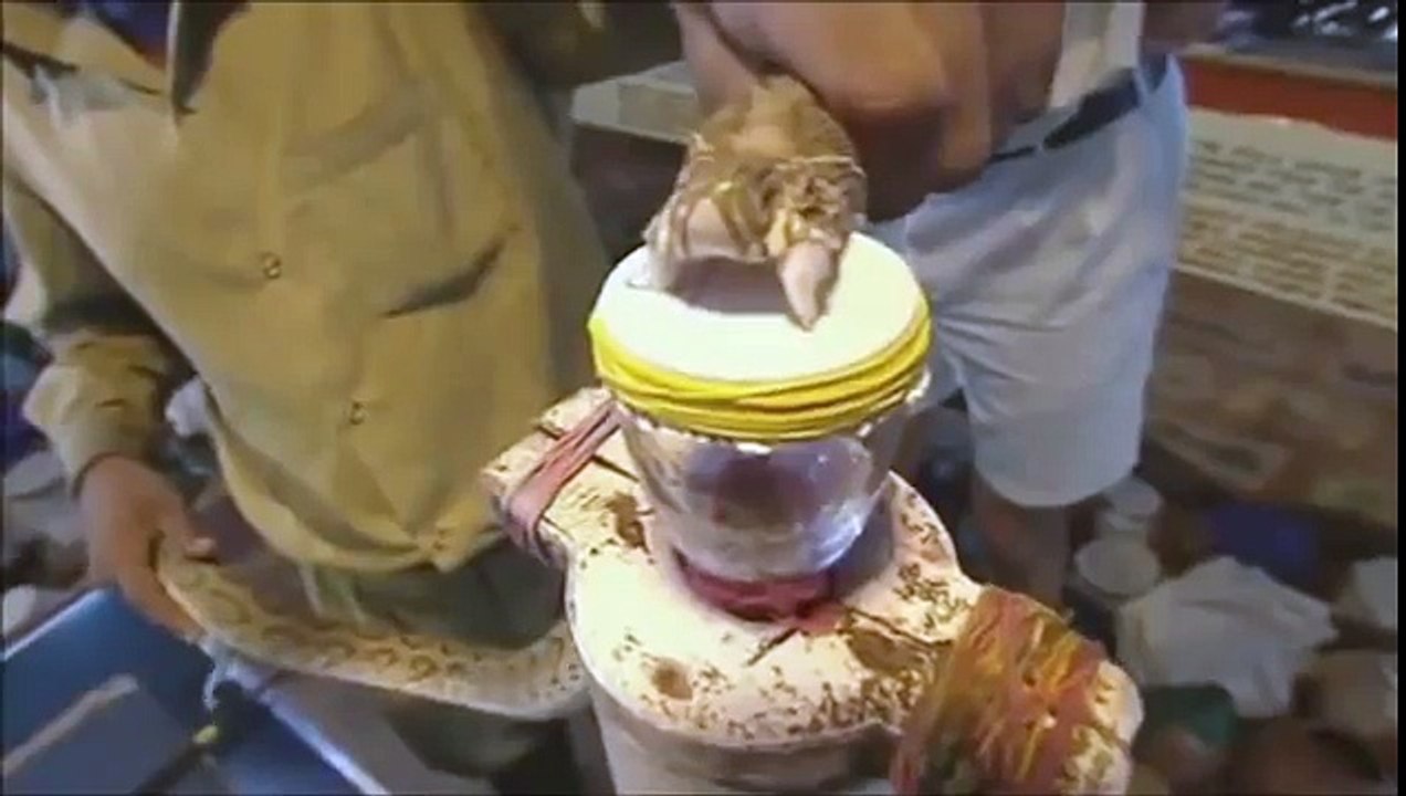 Effet du venin de serpent dans le sang humain