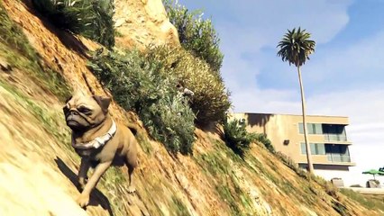 GTA 5 PC Funny Moments 1   Video Editor Cow Attack Mods