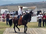 caballos bailadores michoacan  uruapan