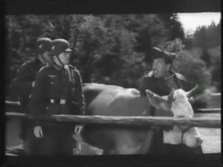 La vache et le prisonnier