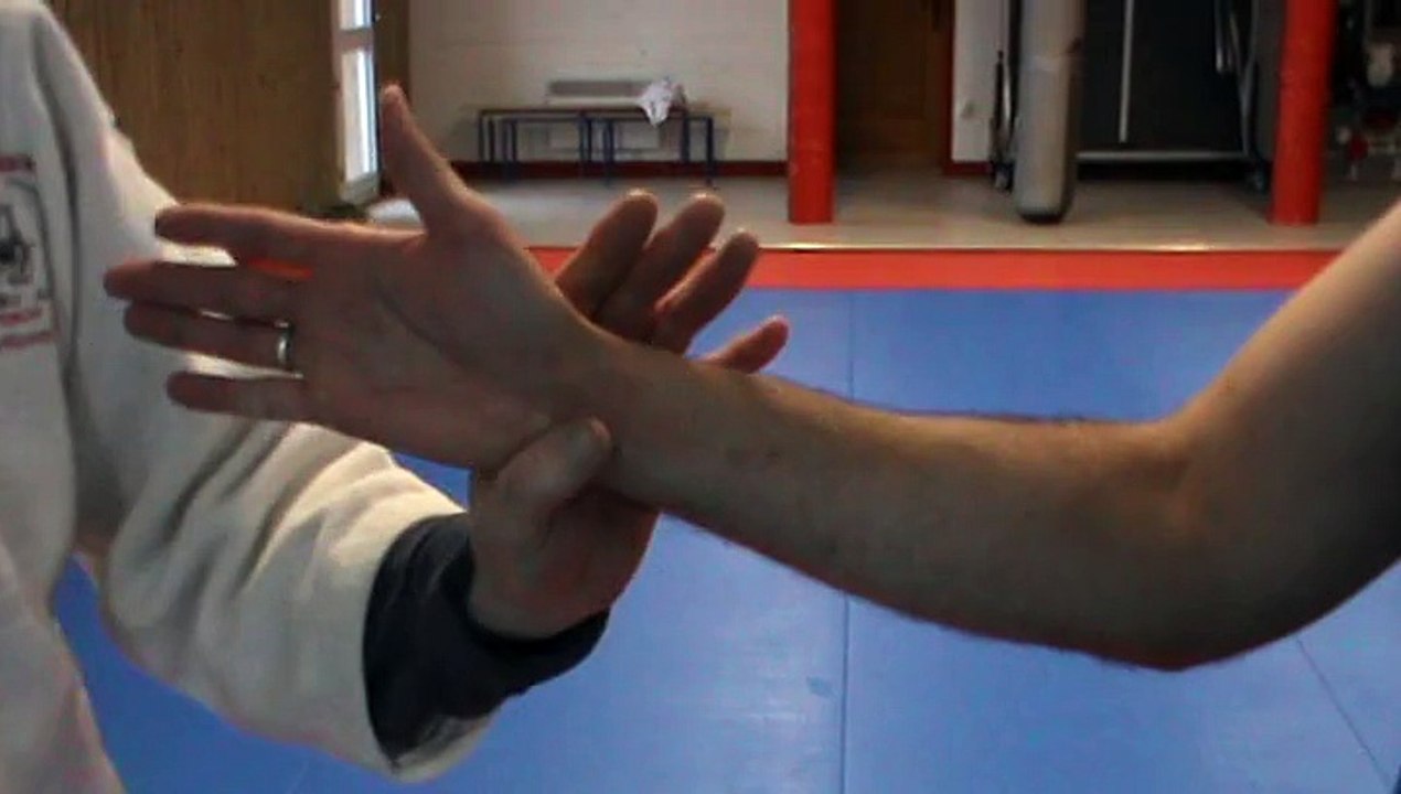 Jujitsu Rollin Philippe. (Self défense)