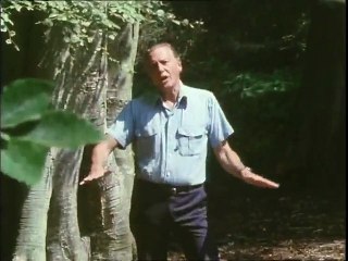 El Planeta Viviente 3-Los Bosques del Norte