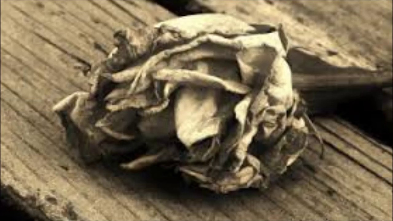 NID - Shattered Flowers