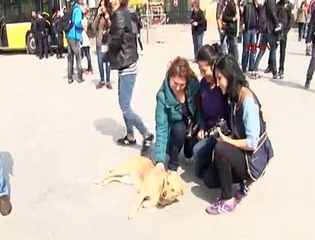 Taksim'de "030"a büyük ilgi