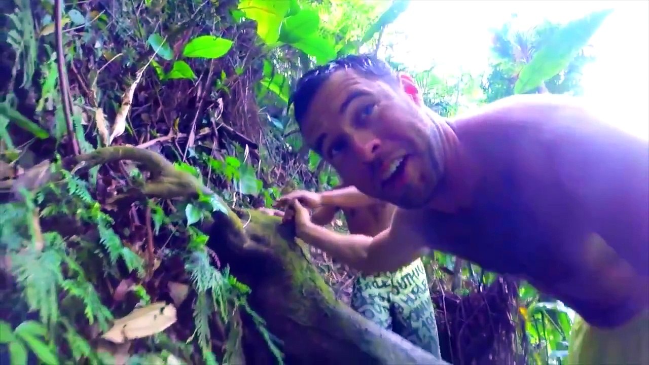 Grenada - The Isle of Spice