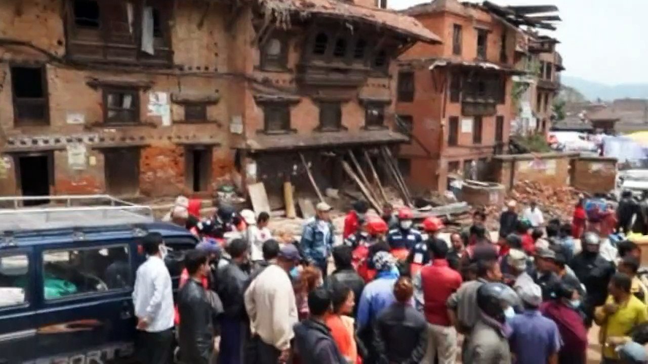 'Dog cam' shows rescue dog aid in Nepal quake rescue effort