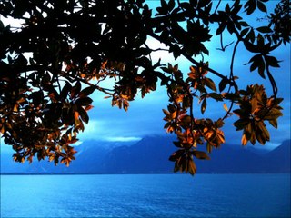 Stevie Wonder -  Joy inside my tears