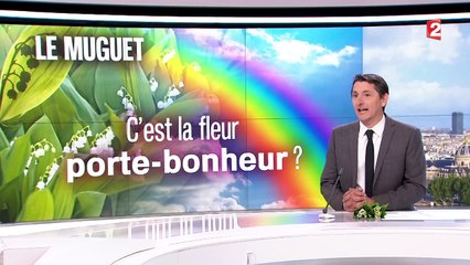 Muguet : tordre le cou aux idées reçues
