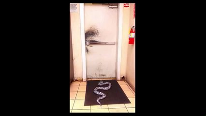 Yılan Şakası Aklını Yerinden Çıkardı)